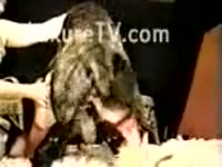 [ Zoophilia Tube ] When the dog is in heat